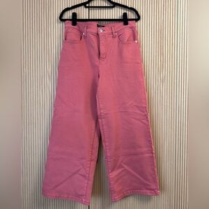 Banana Republic Factory Wide Leg High Rise Jeans 31 Petite NWT Dusty Cedar